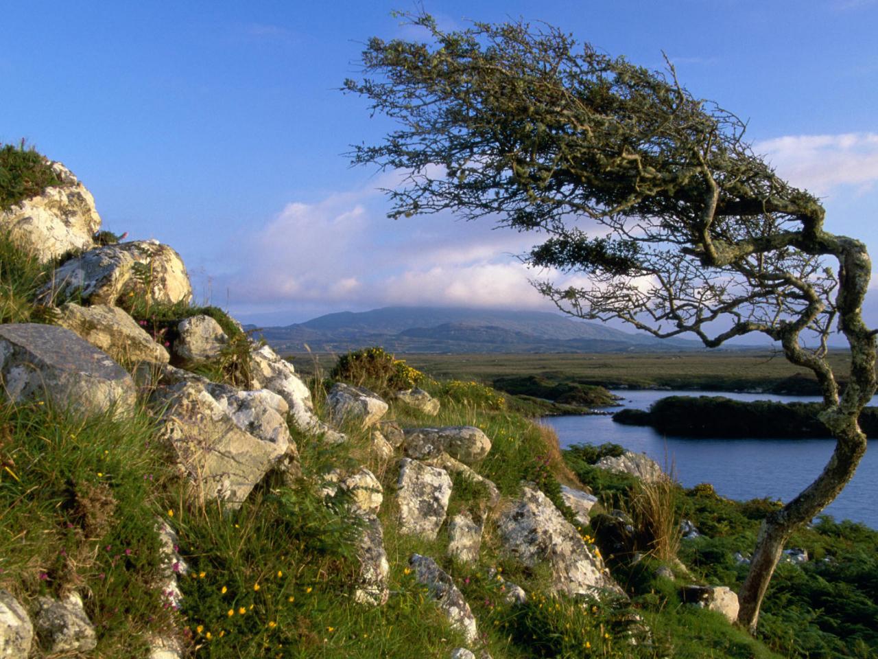 обои Connemara,   County Galway,   Ireland фото