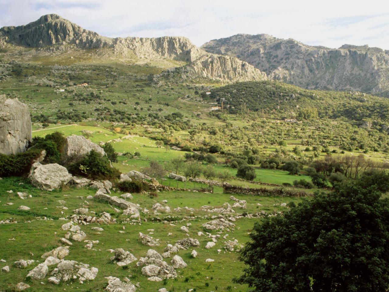 обои Grazalema Natural Park,   Cadiz Province,   Andalucia,   Spain фото