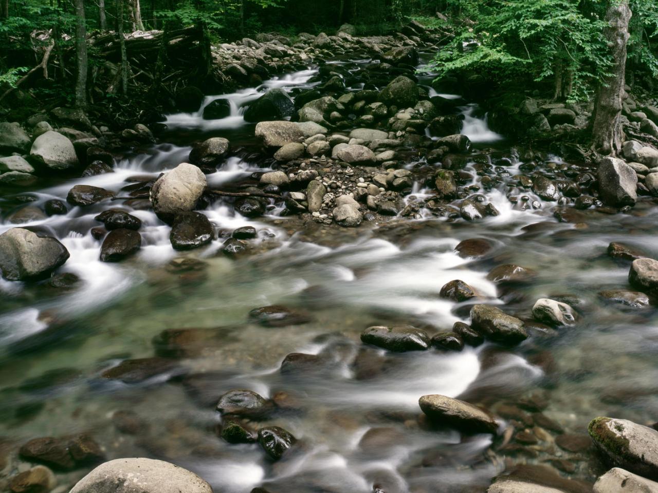 обои Little Pigeon River,   Greenbriar,   Great Smoky Mountains National Park,   Tennessee фото