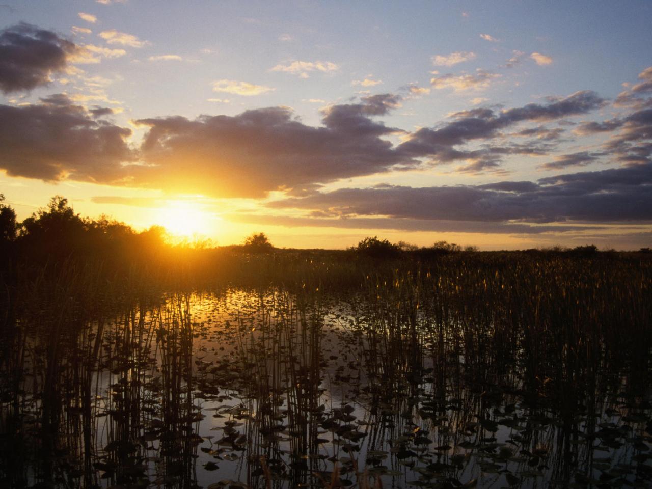 обои Loxahatchee National Wildlife Refuge,   Florida фото