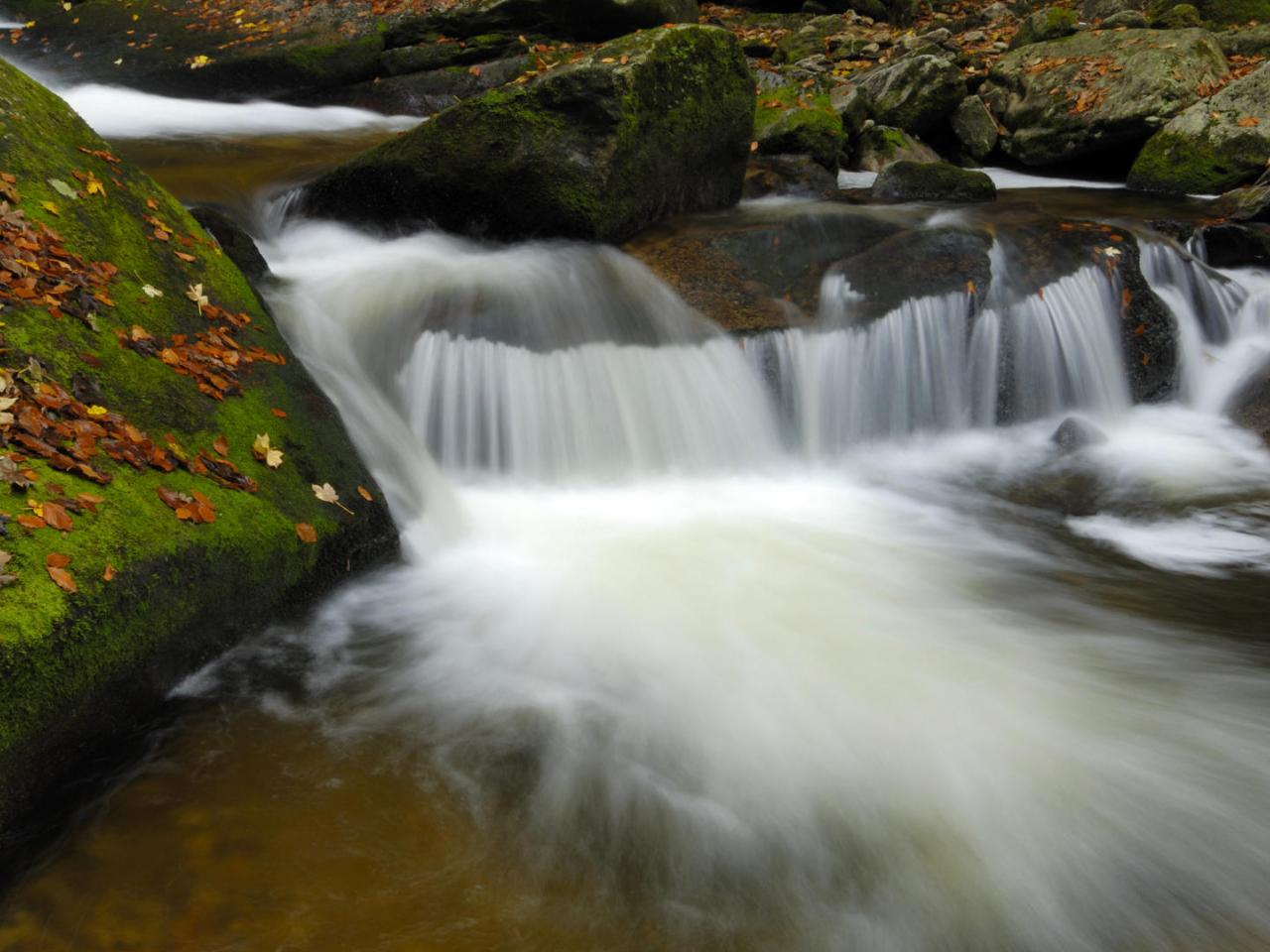 обои Roaring Lobnica River,   Pohorje,   Slovenia фото