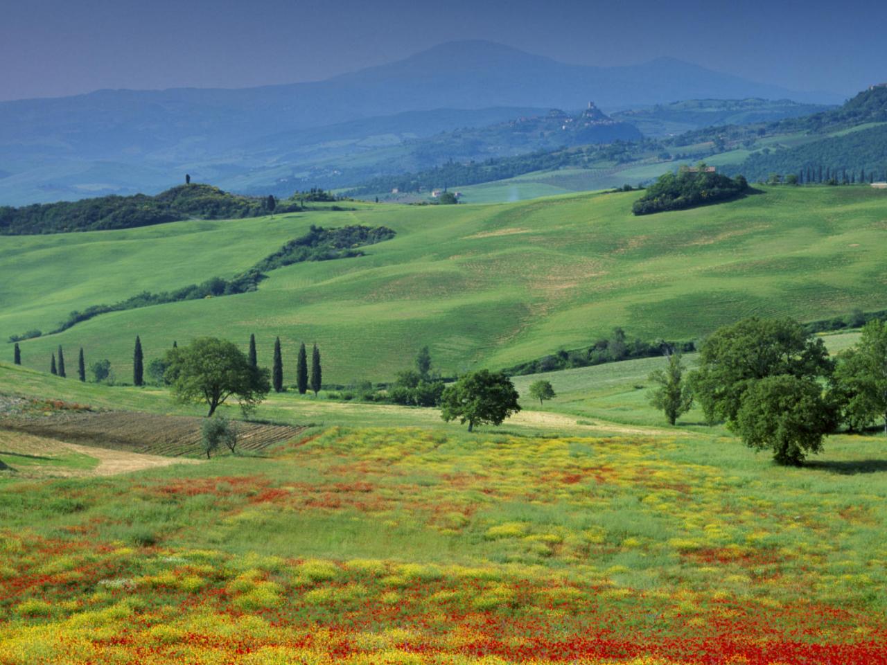 обои San Quirico,   Tuscany,   Italy фото