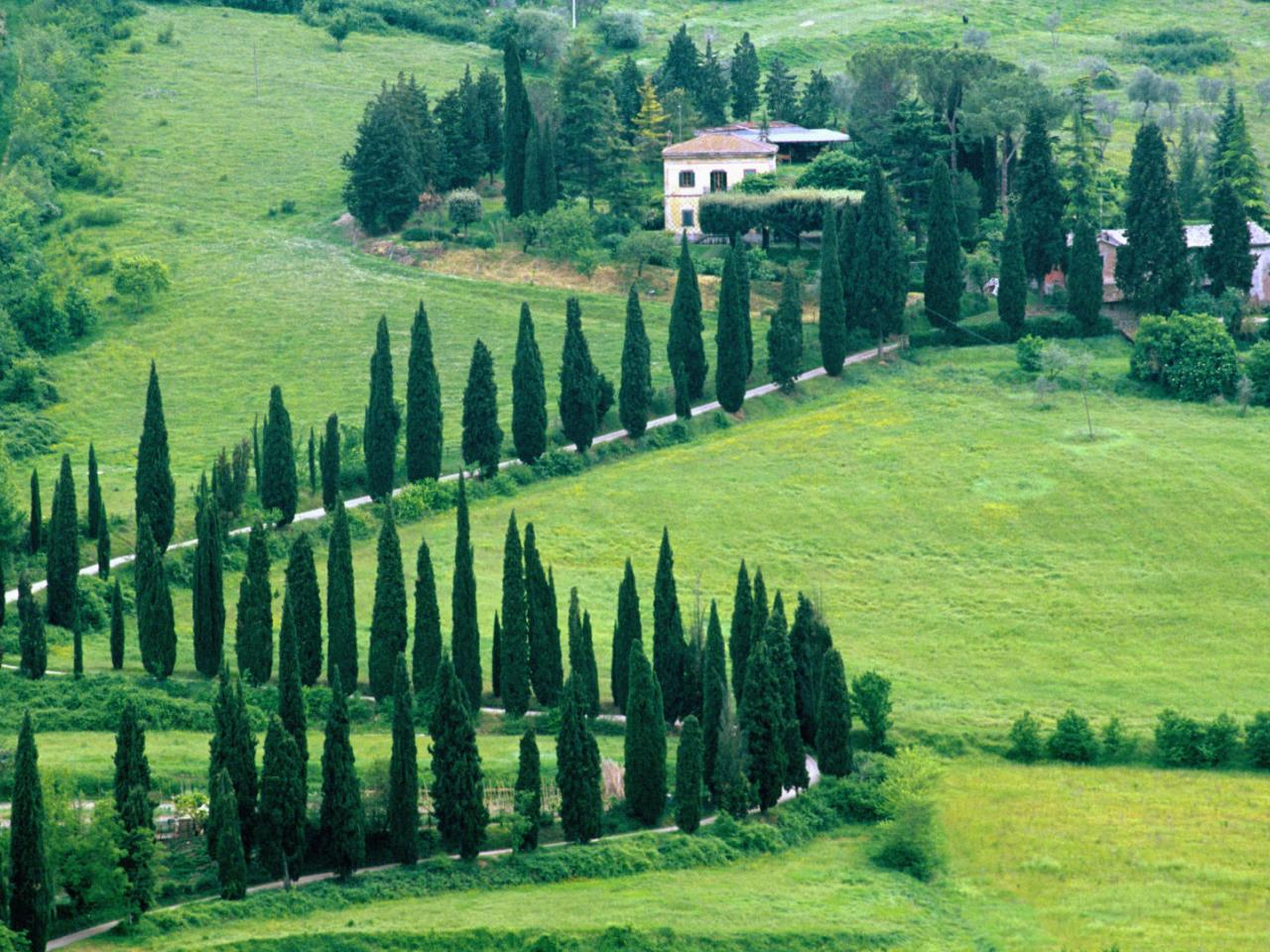 обои Scenery Near Orvieto,   Umbria,   Italy фото