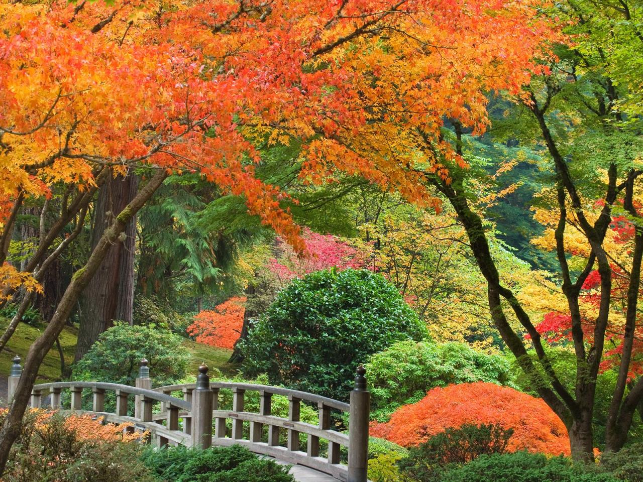 обои Autumn at the Portland Japanese Garden,   Oregon фото