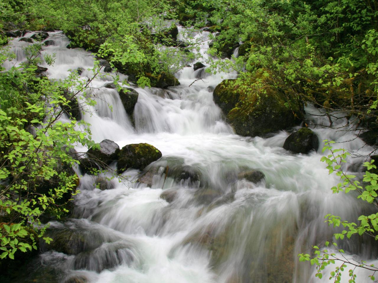 обои Cascade,   Near Mendenhall Glacier,   Juneau,   Alaska фото