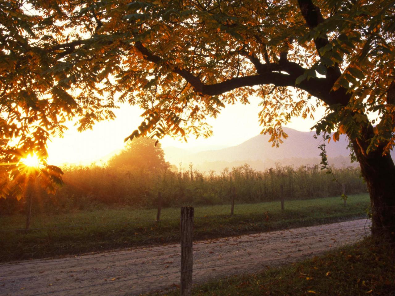 обои Early Autumn Sunrise,   Cades Cove,   Great Smoky Mountains National Park,   Tennessee фото