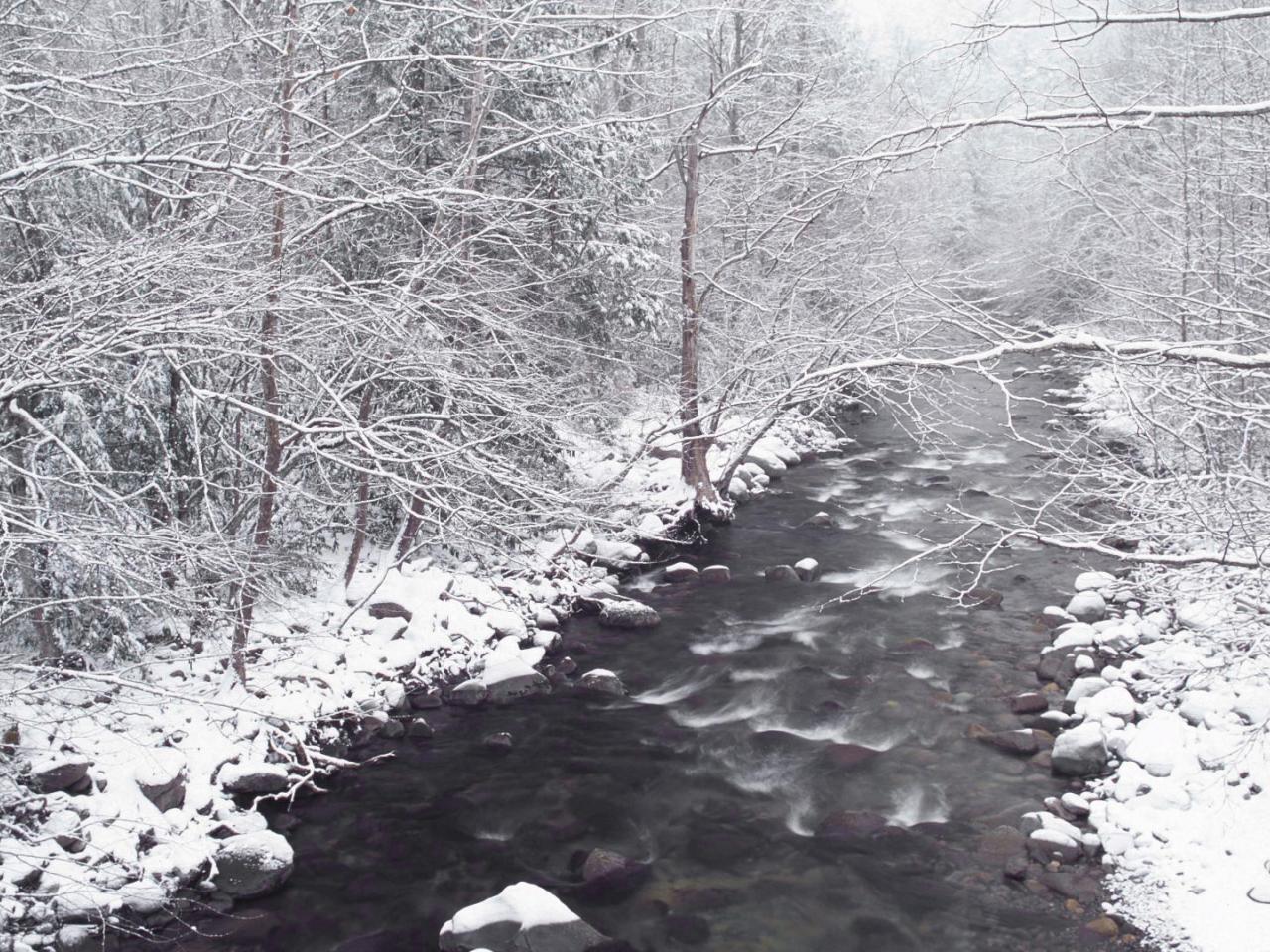 обои Snow on the Little Pigeon River,   Great Smoky Mountains,   Tennessee фото