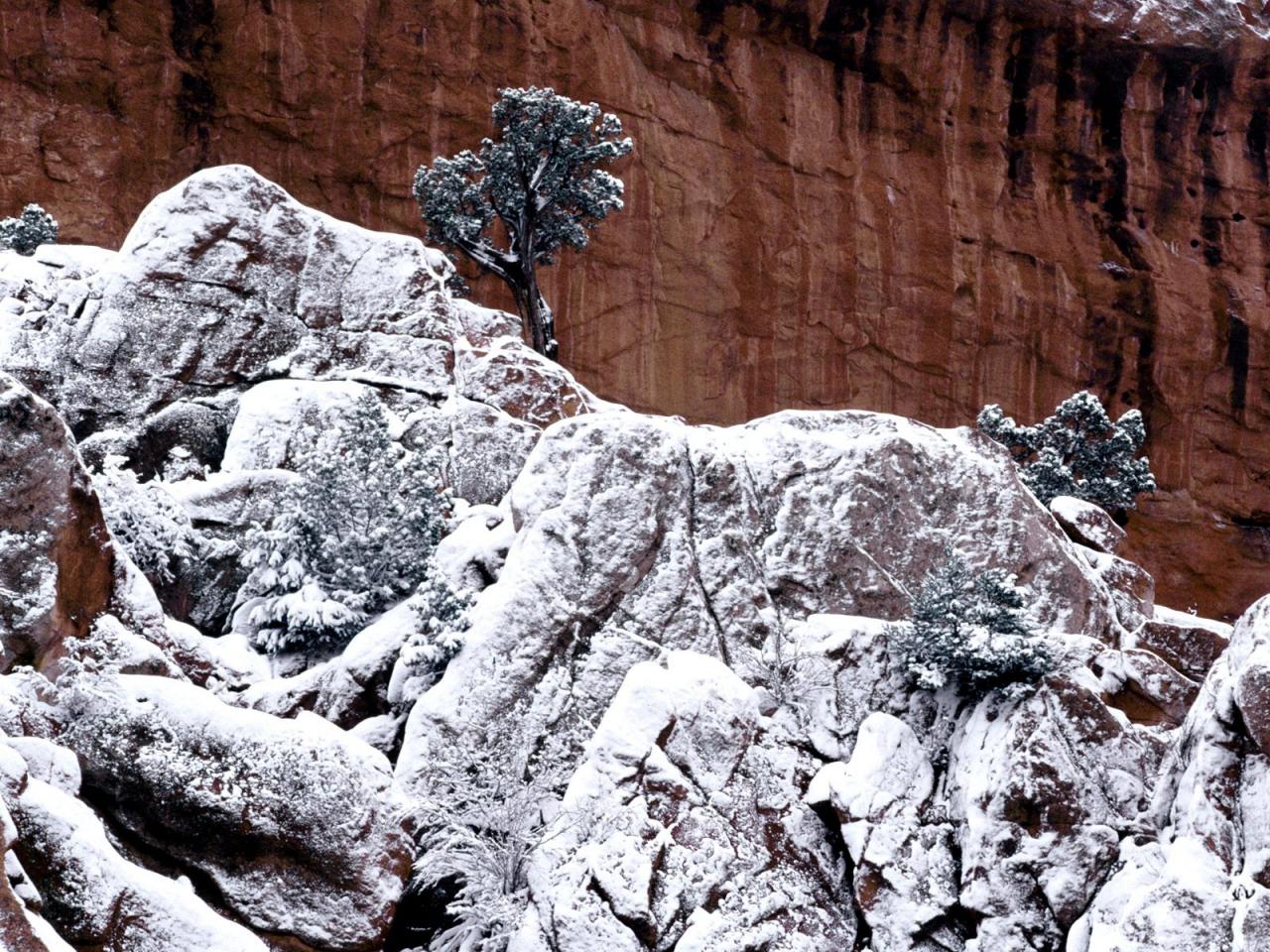 обои Frosted Rocks,   Red Rock Cliffs фото