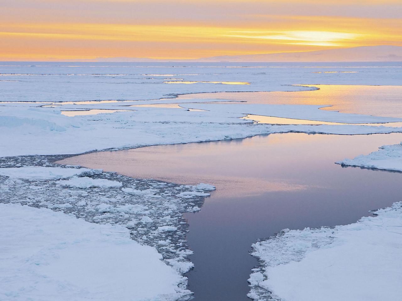 обои Icebergs at Dusk,   Antarctic Sound,   Antarctica фото