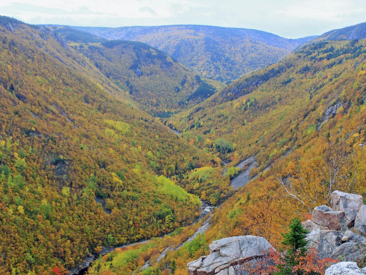 обои Cape Breton Highlands National Park,   Nova Scotia,   Canada фото