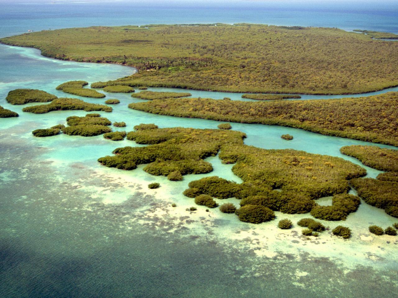 обои Coral Reef,   Belize фото