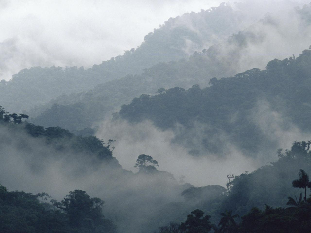 обои Misty Penas Blancas Valley,   Monteverde Cloud Forest Reserve,   Costa Rica фото