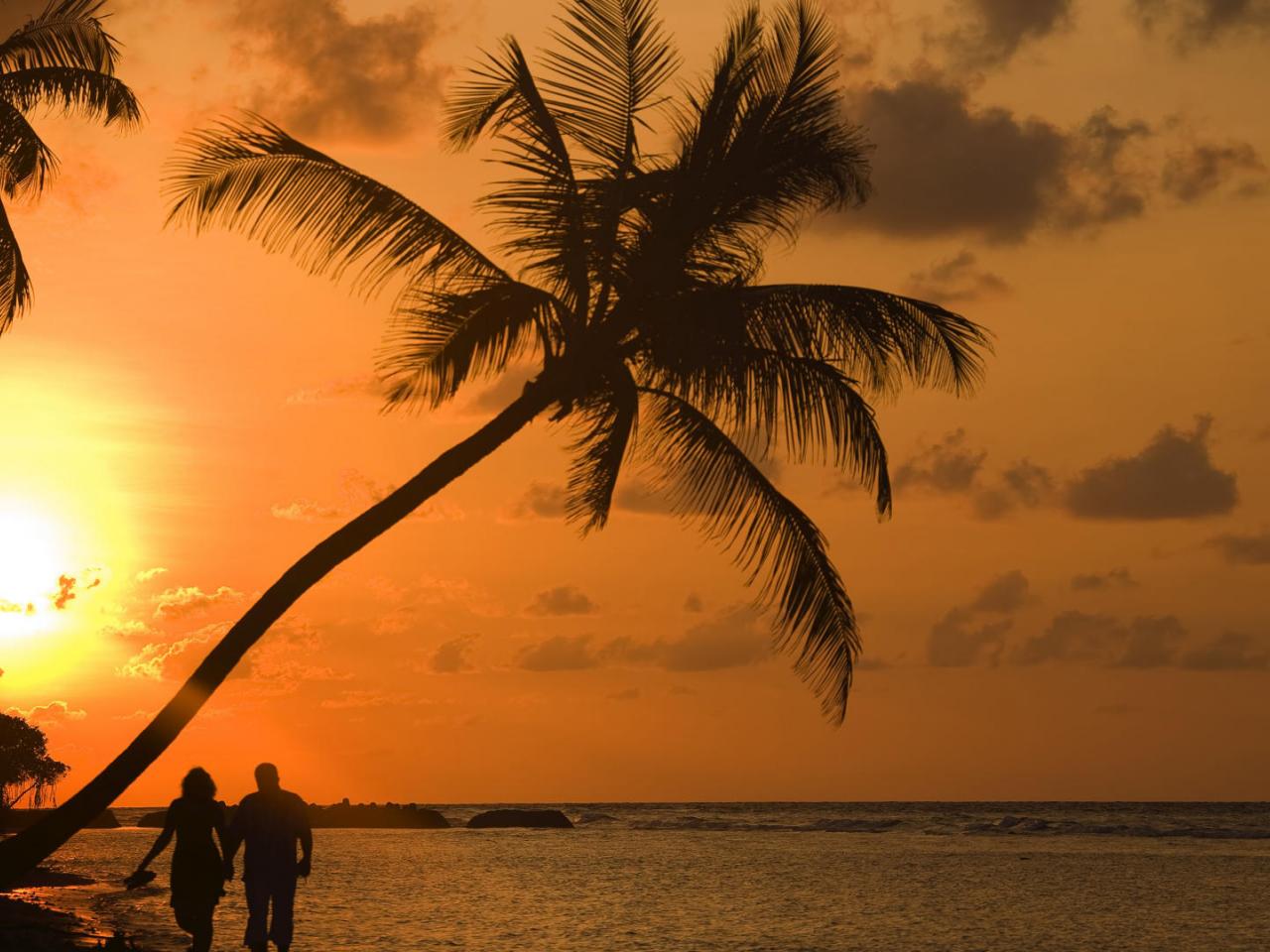 обои Polynesian Paradise фото