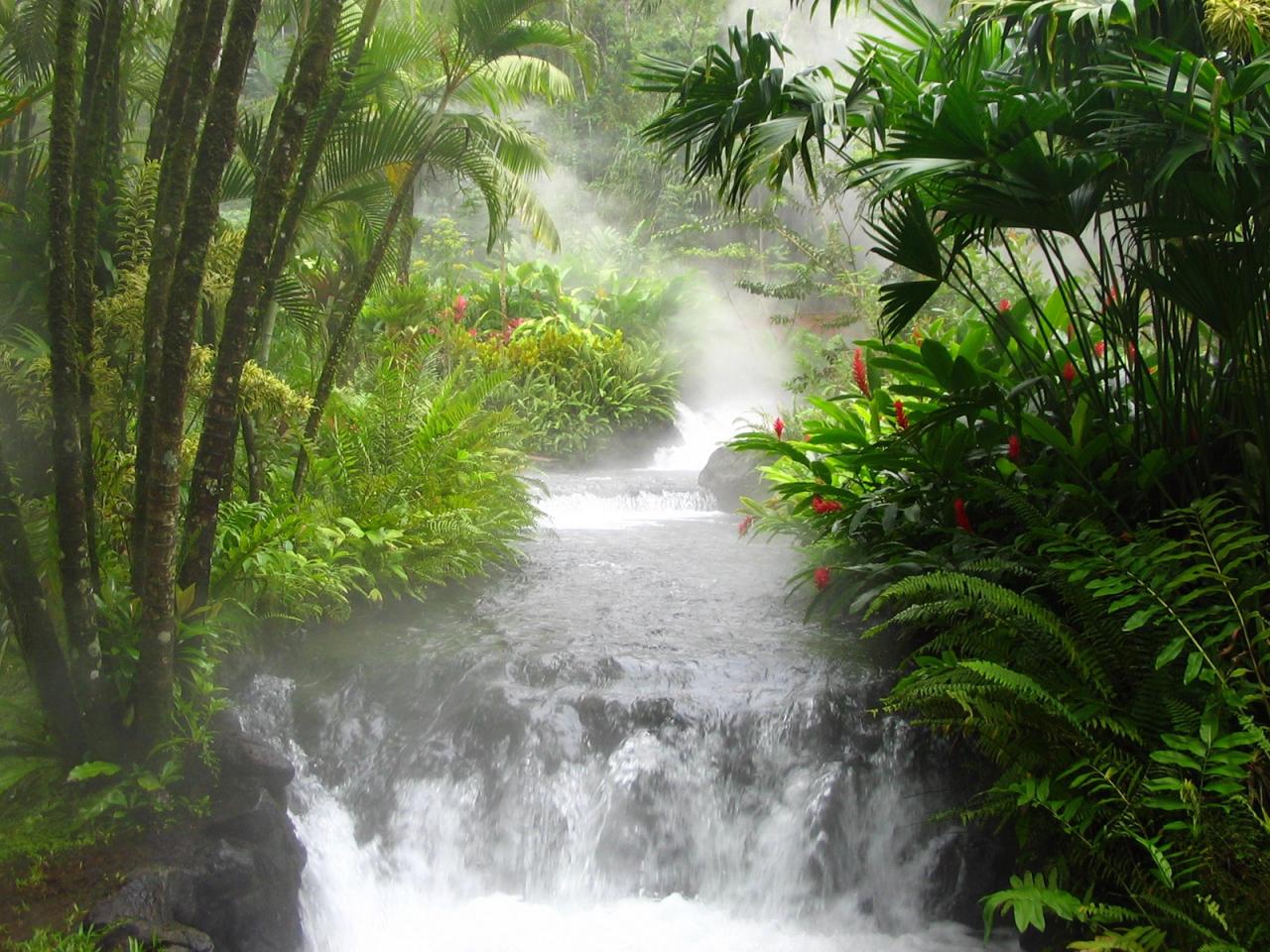 обои Forest Asian jungle водопад в джунглях фото