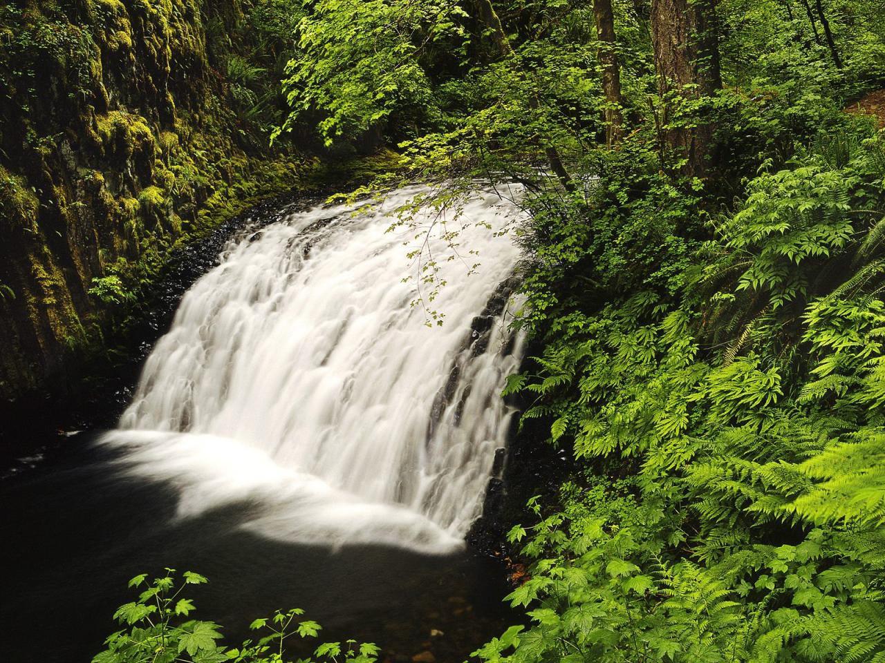 обои Columbia River Gorge,   Oregon фото