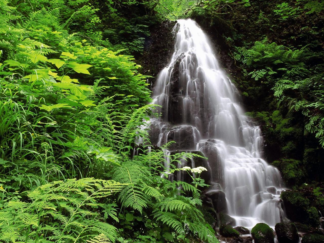 обои Fairy Falls,   Columbia Gorge National Scenic Area,   Oregon фото