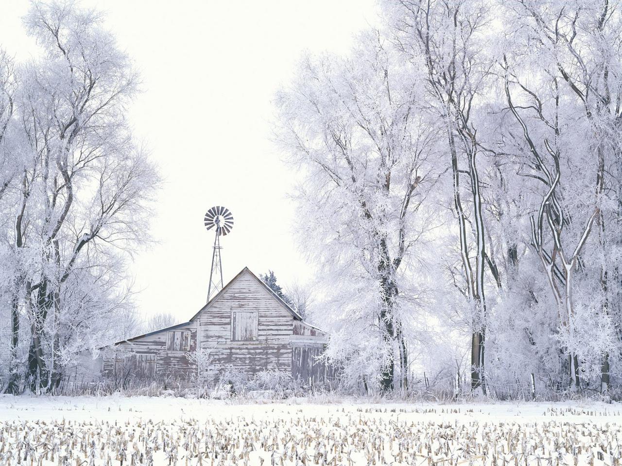 обои Frosted Farmland,   LaSalle County,   Illinois фото