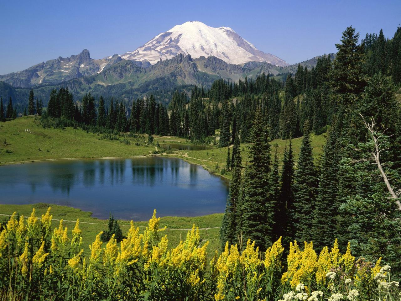 обои Natural Beauty,   Mount Rainier National Park,   Washington фото