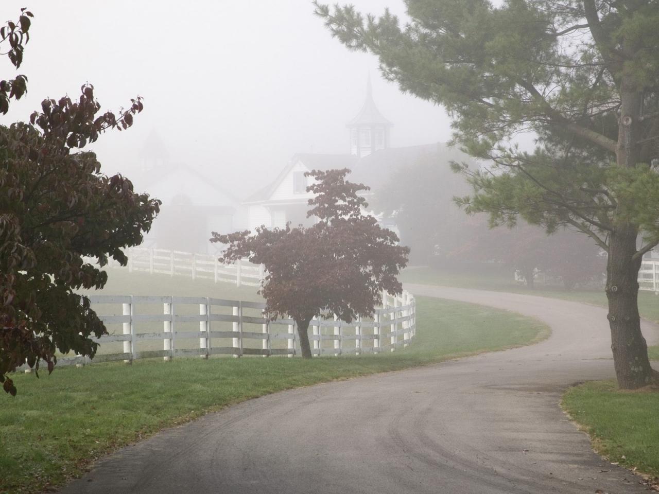 обои Manchester Horse Farm on a Foggy Morning,   Lexington,   Kentucky фото