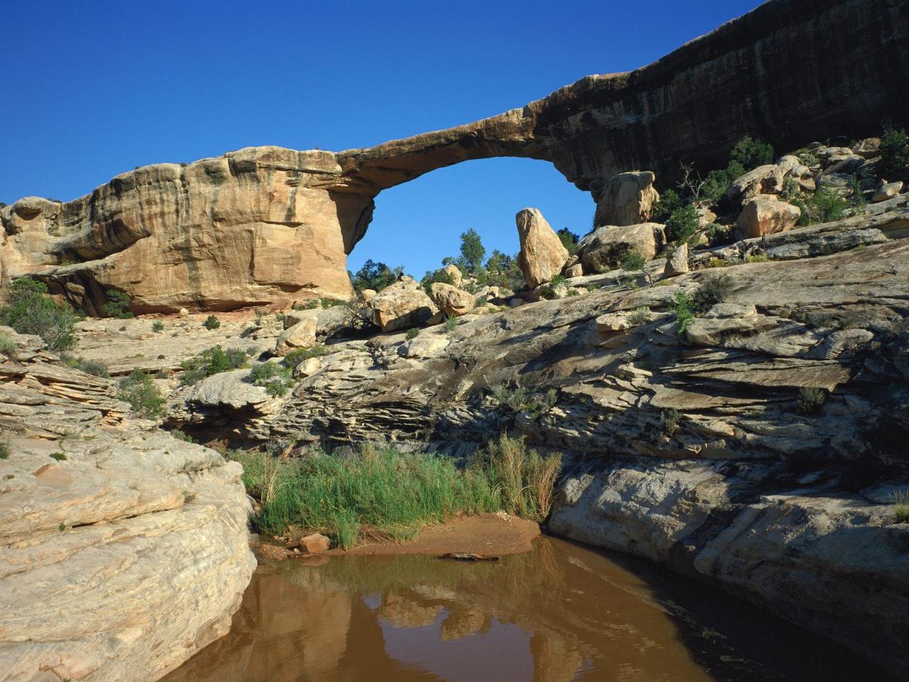 обои Owachomo Bridge,   Natural Bridges National Monument,   Utah фото