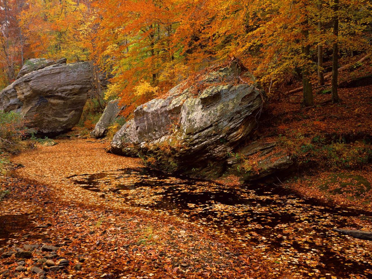 обои Smith Springs Recreation Area,   Shawnee National Forest,   Illinois фото