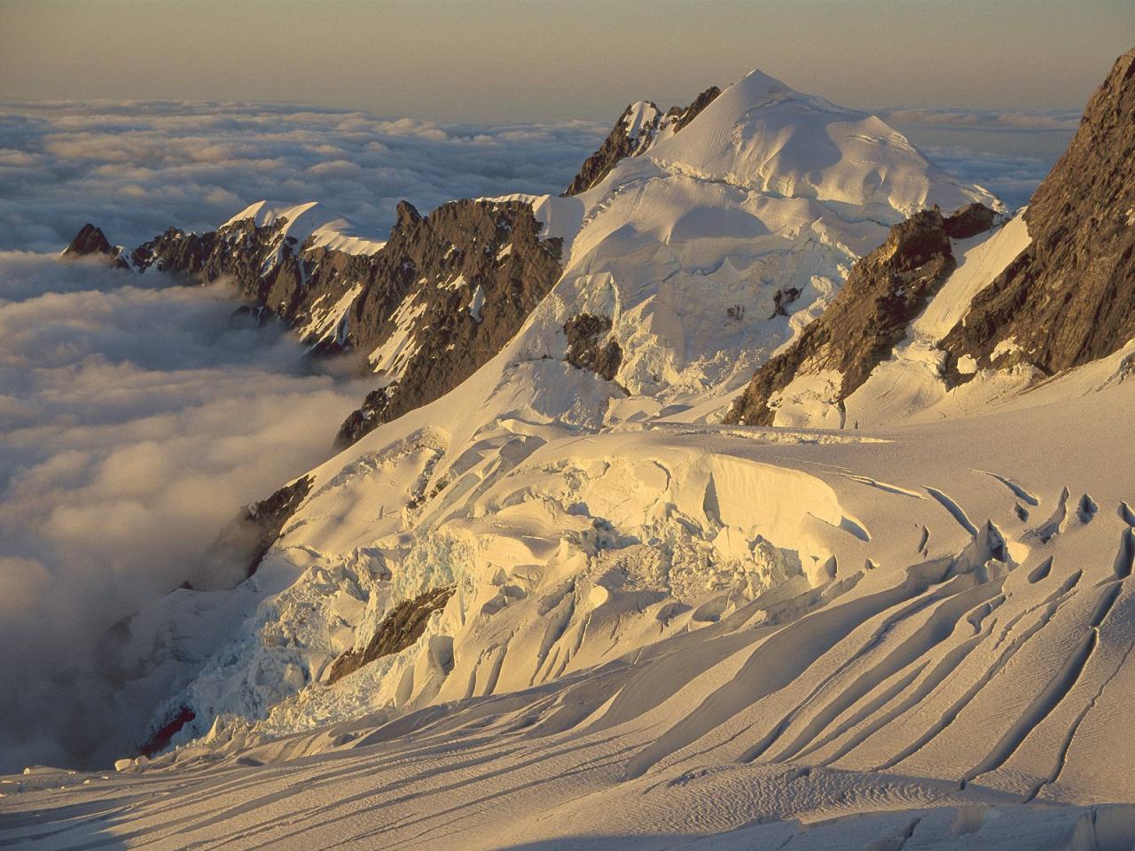 обои Balfour Glacier,   Westland National Park,   South Island,   New Zealand фото