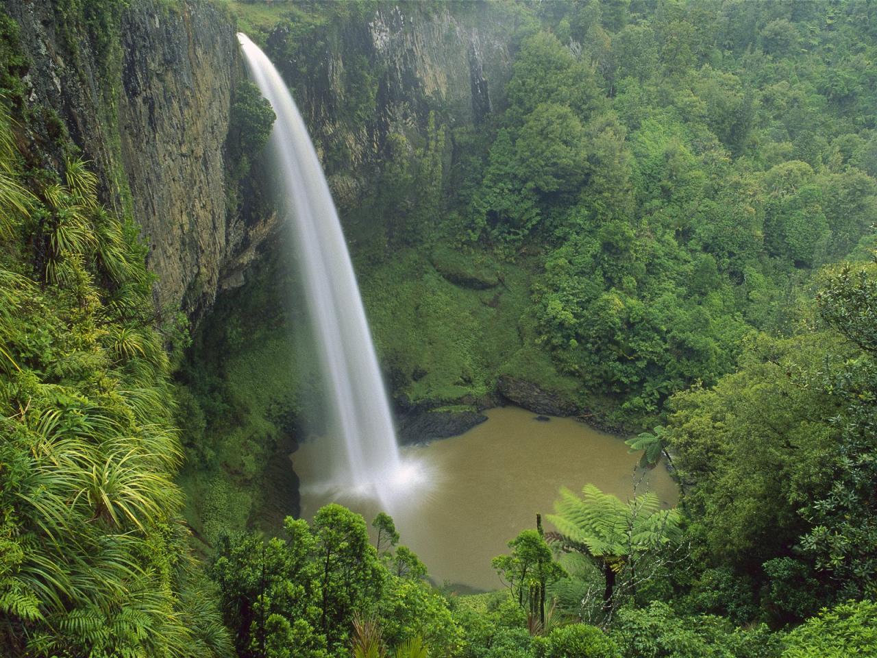 обои Bridal Veil Falls,   Near Raglan,   New Zealand фото