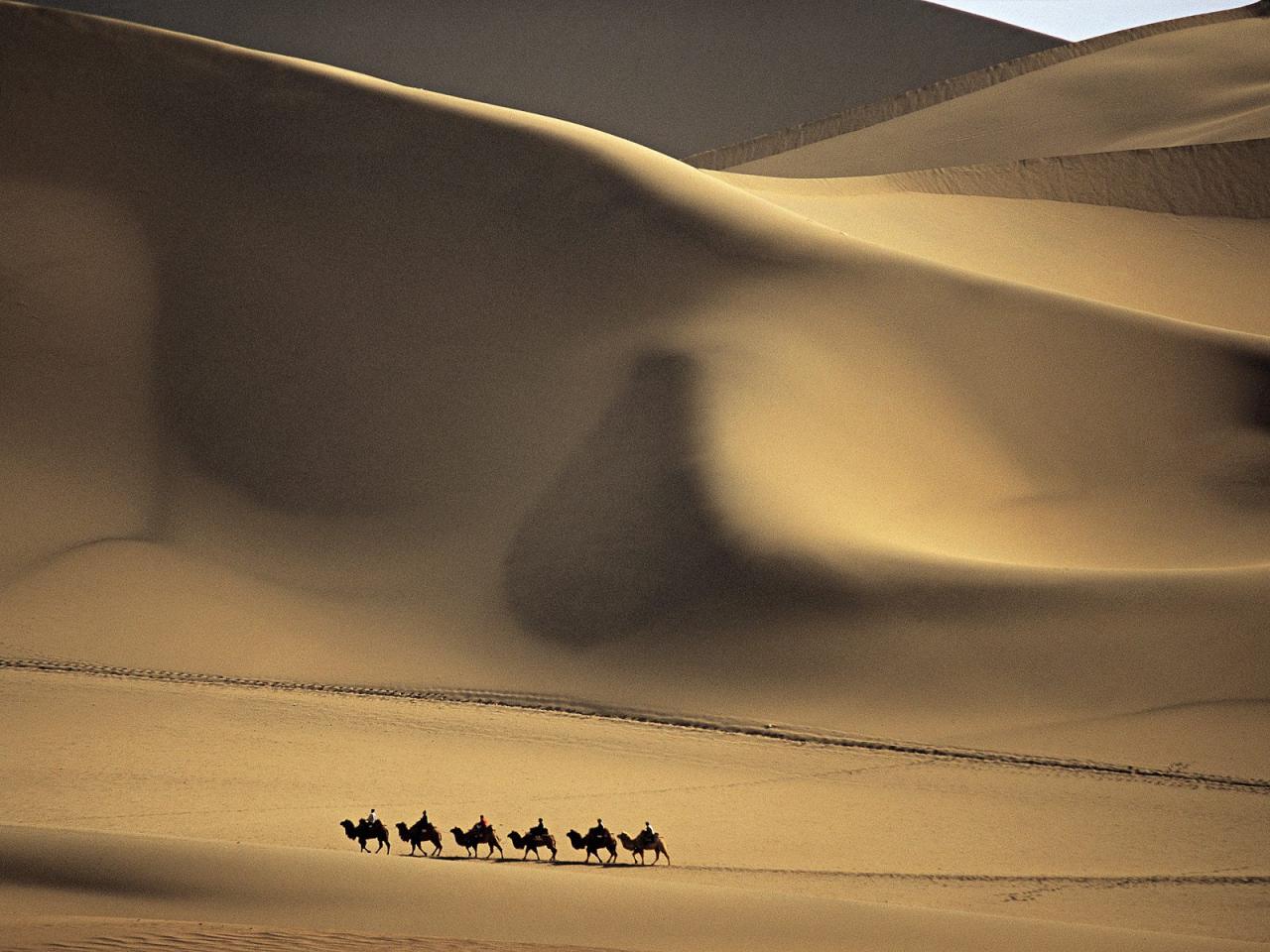 обои Camel Caravan Passes Through the  Sands that Sing,    Taklimakan Desert,   China фото