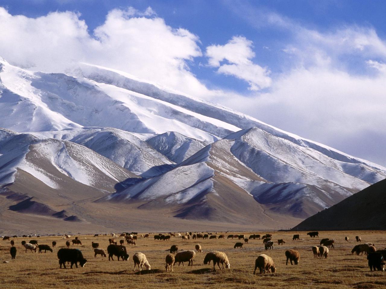 обои Muztagh Tower Peak,   Xinjiang Province,   China фото