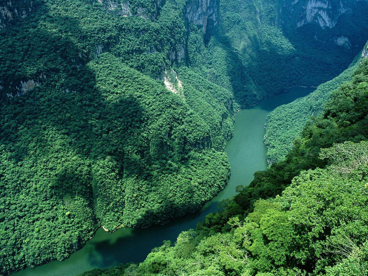 обои Узкая река в горной долине фото
