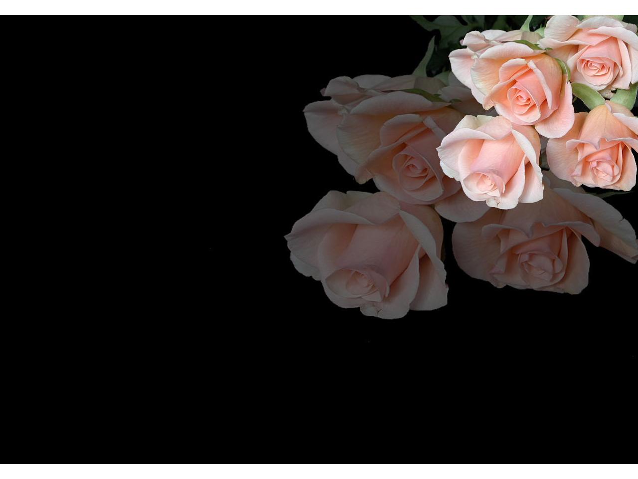 обои Розовые розы на черном столе фото