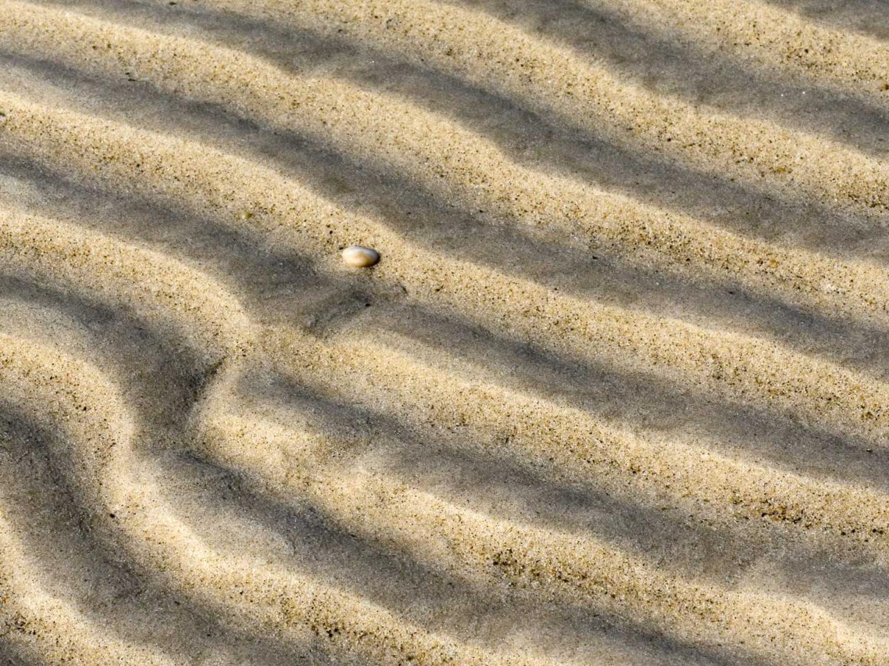 обои Sand Ripples фото