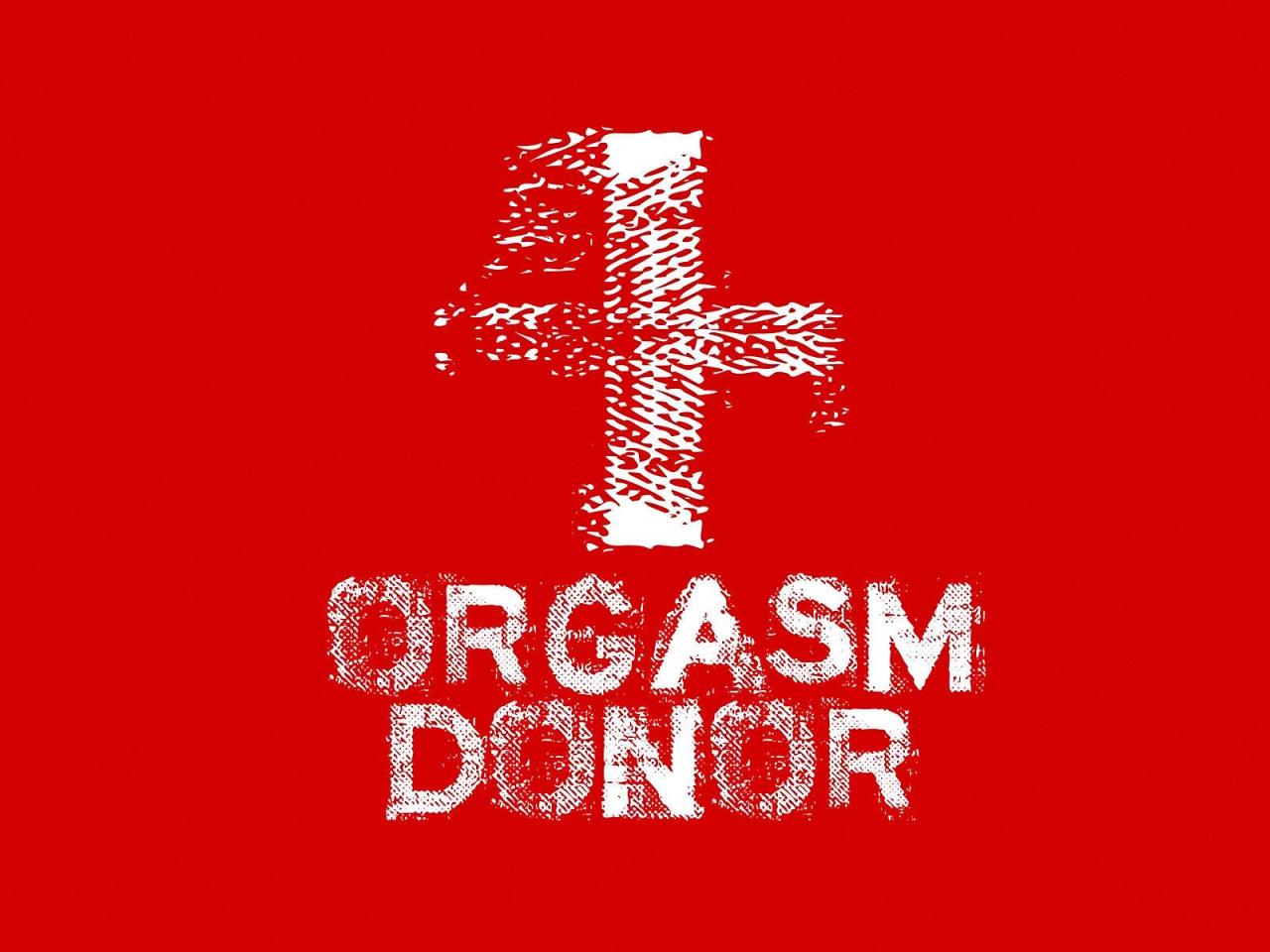 обои Orgasm donor фото