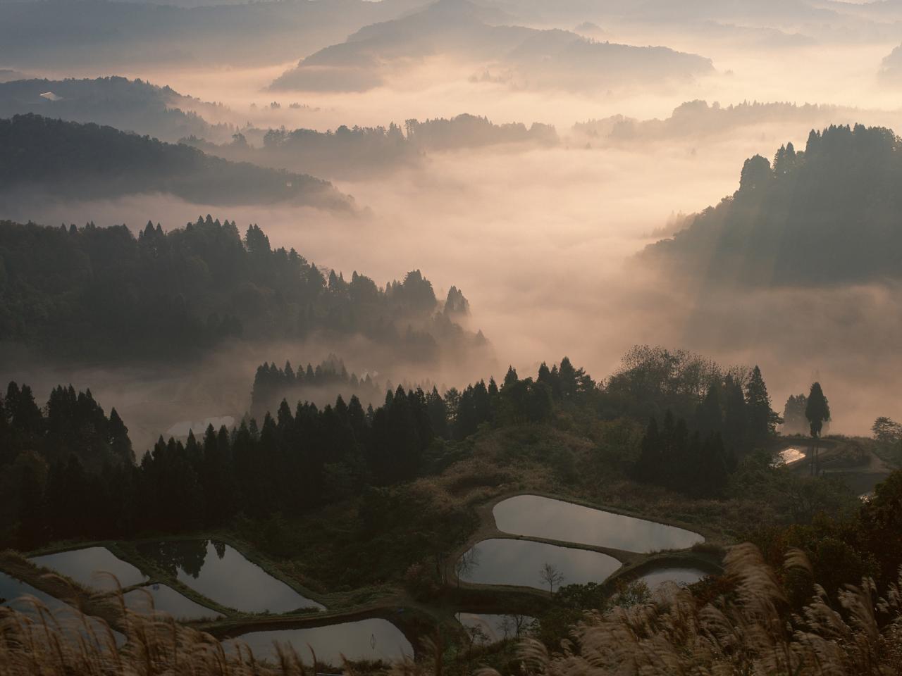 обои Вечерний туман фото