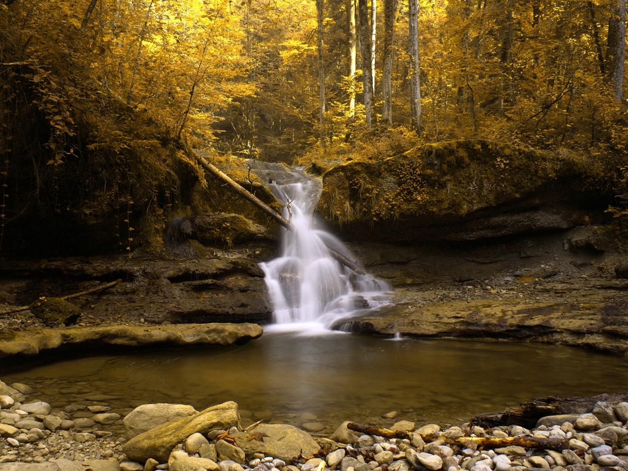 обои Nature Forest A waterfall in a yellow wood фото