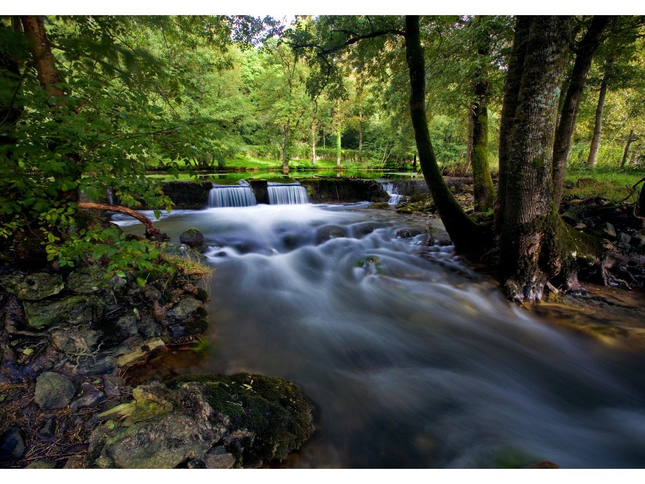 обои Nature Seasons Summer Park River фото