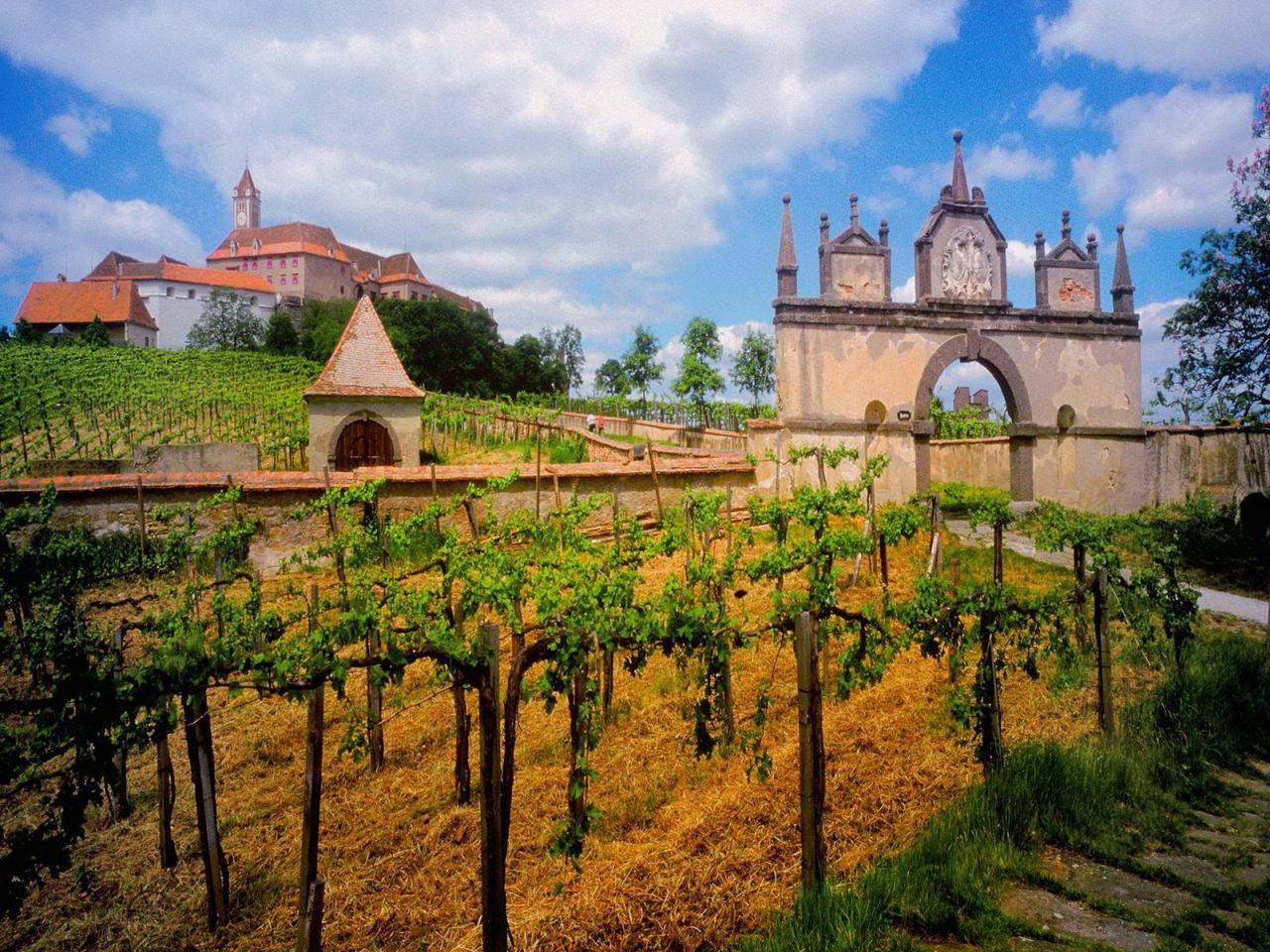 обои Austrian Vineyard фото