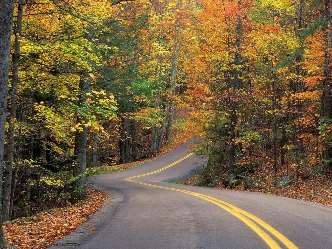 обои Autumn Colors Road фото