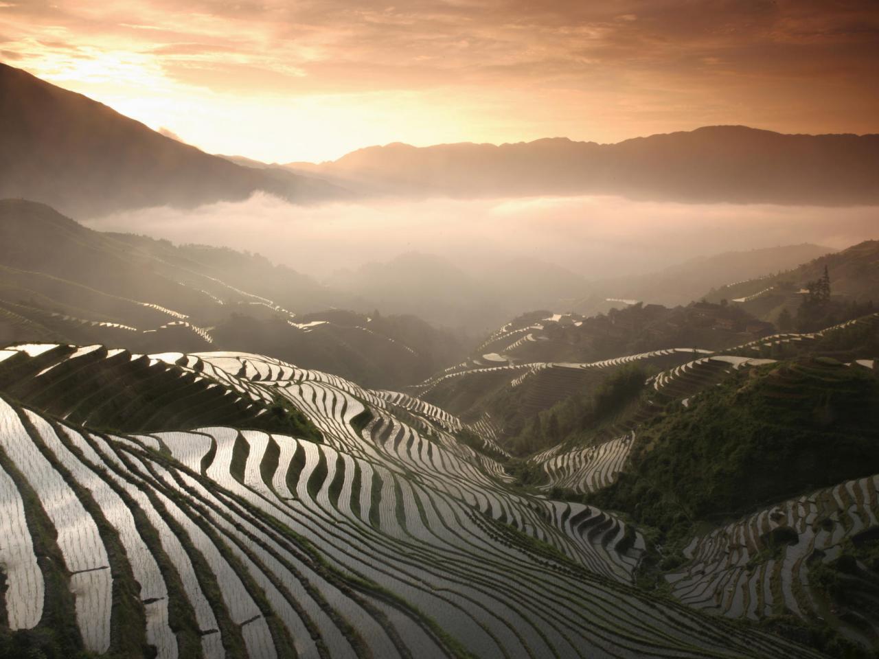 обои Longsheng Terraced Rice Fields,   Guangxi Province,   China фото