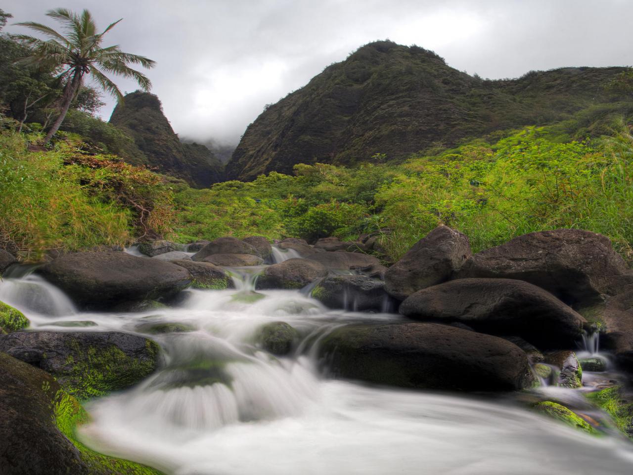 обои Iao Valley,   Maui,   Hawaii фото