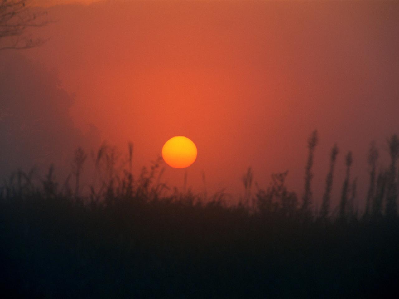 обои Багровый закат солнца фото