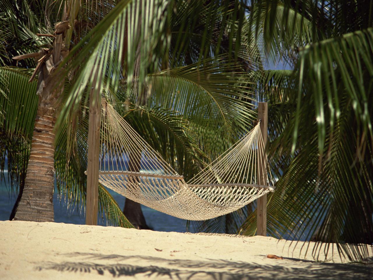 обои An Inviting Hammock,   Bahamas фото