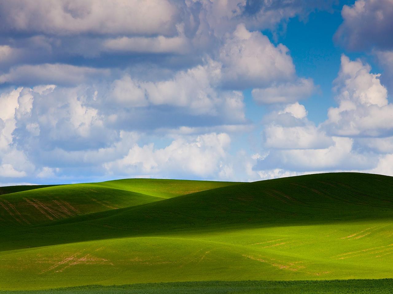 обои Rolling Shadows,   Palouse,   Washington фото