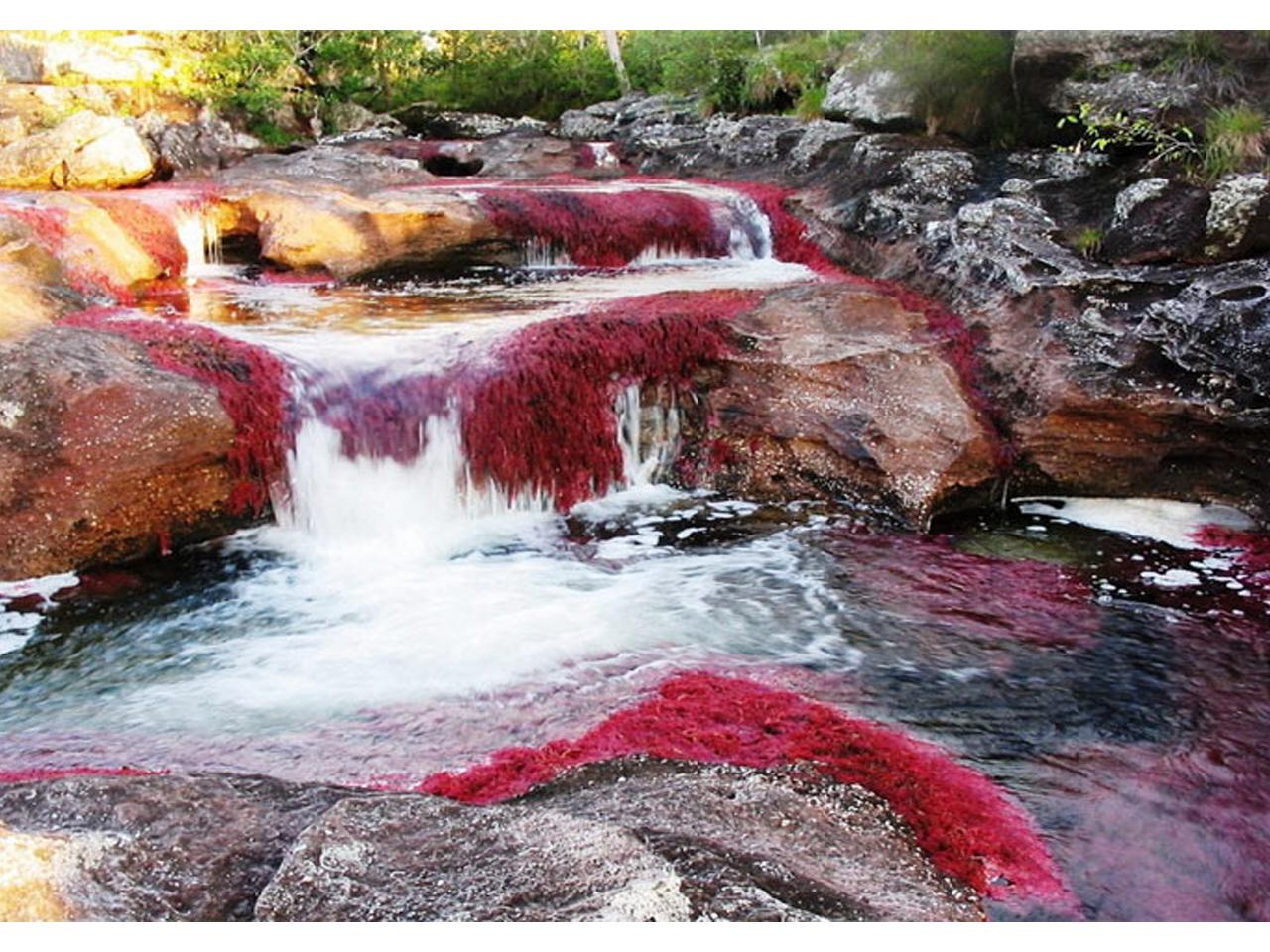 обои Необыкновенная цветная река фото