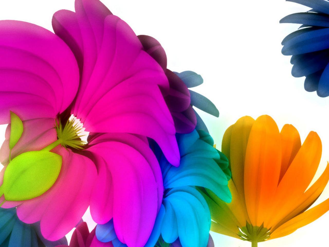обои Colorful  Flowers фото