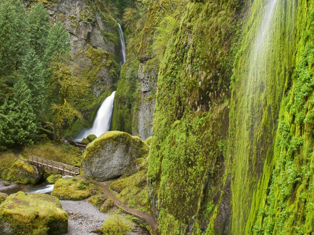 обои Elowah Falls Trail,   Columbia River Gorge,   Oregon фото