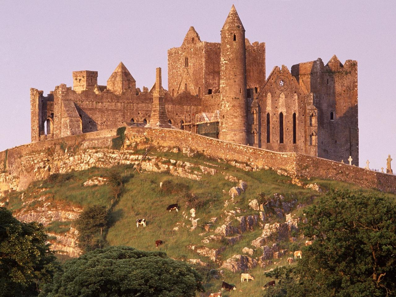 обои The Rock of Cashel,   County Tipperary,   Ireland фото