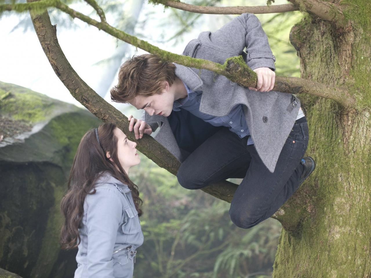 обои Белла и Эдвард на дереве фото