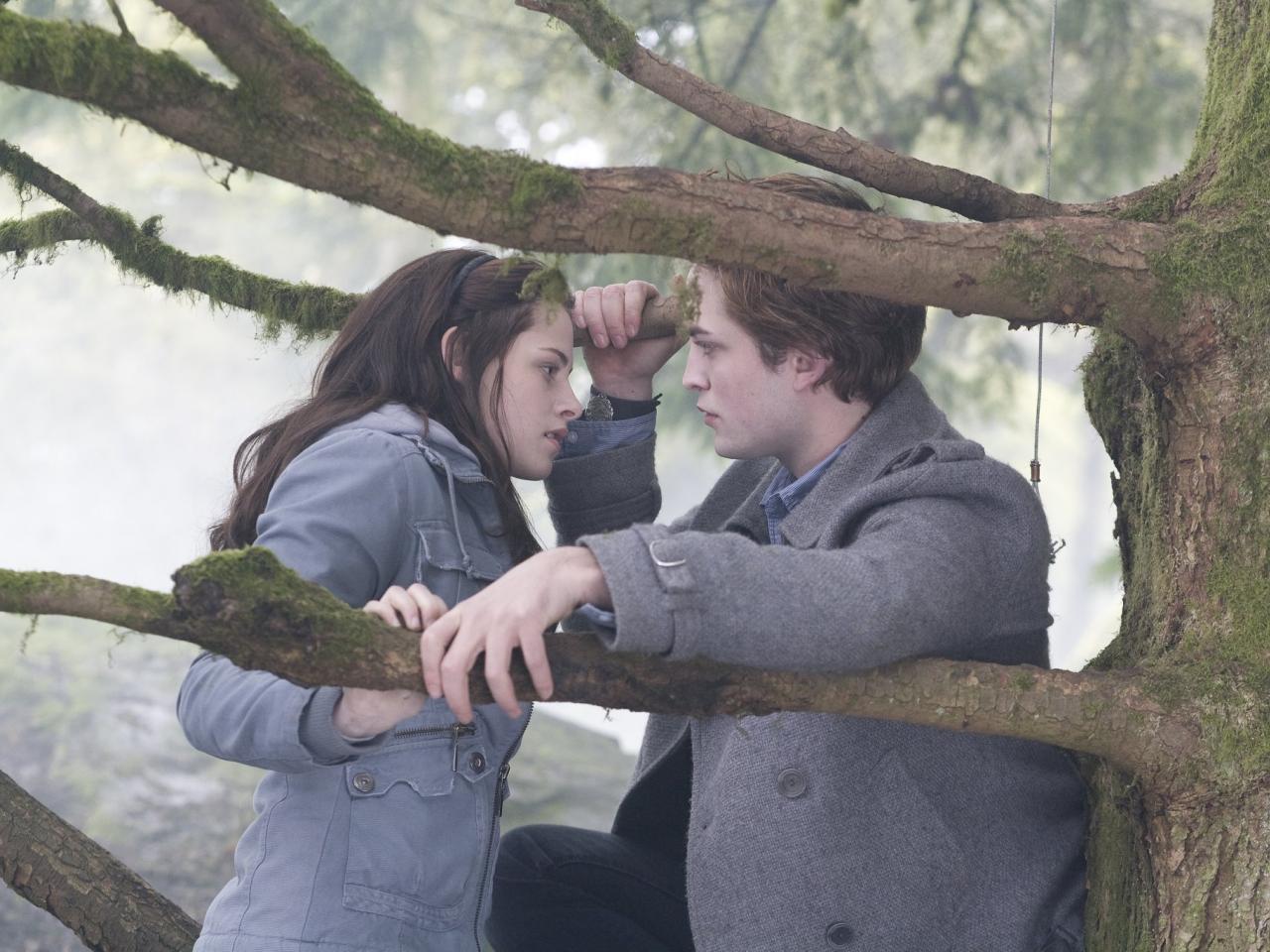 обои Эдвард и белла на дереве фото