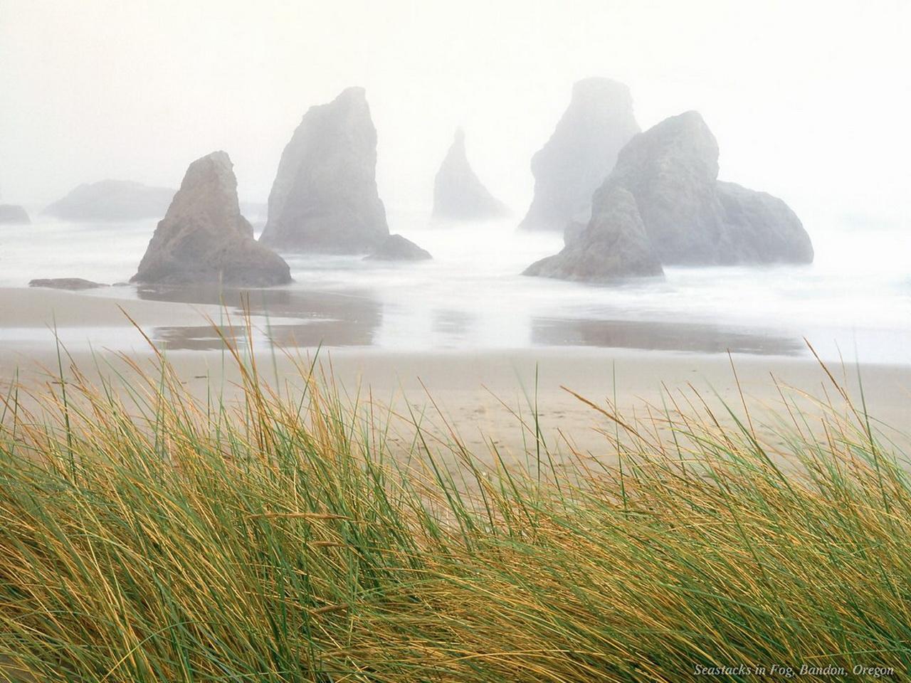 обои Seastacks in Fog,   Oregon фото